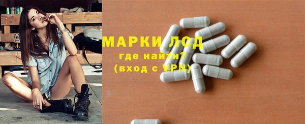 индика Баксан