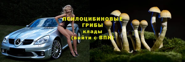 индика Баксан