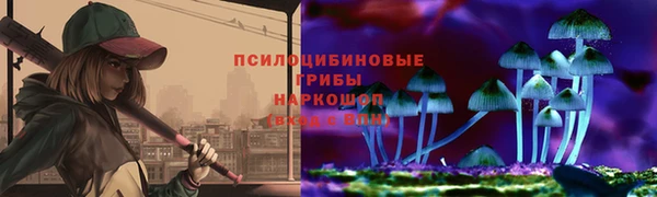 индика Баксан