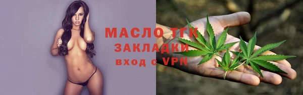 индика Баксан
