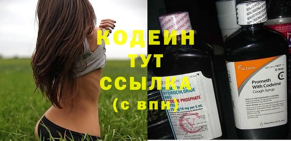 индика Баксан