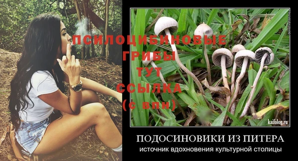 прущая мука Аркадак