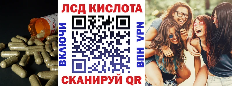 как найти закладки  Губаха  Лсд 25 экстази ecstasy 