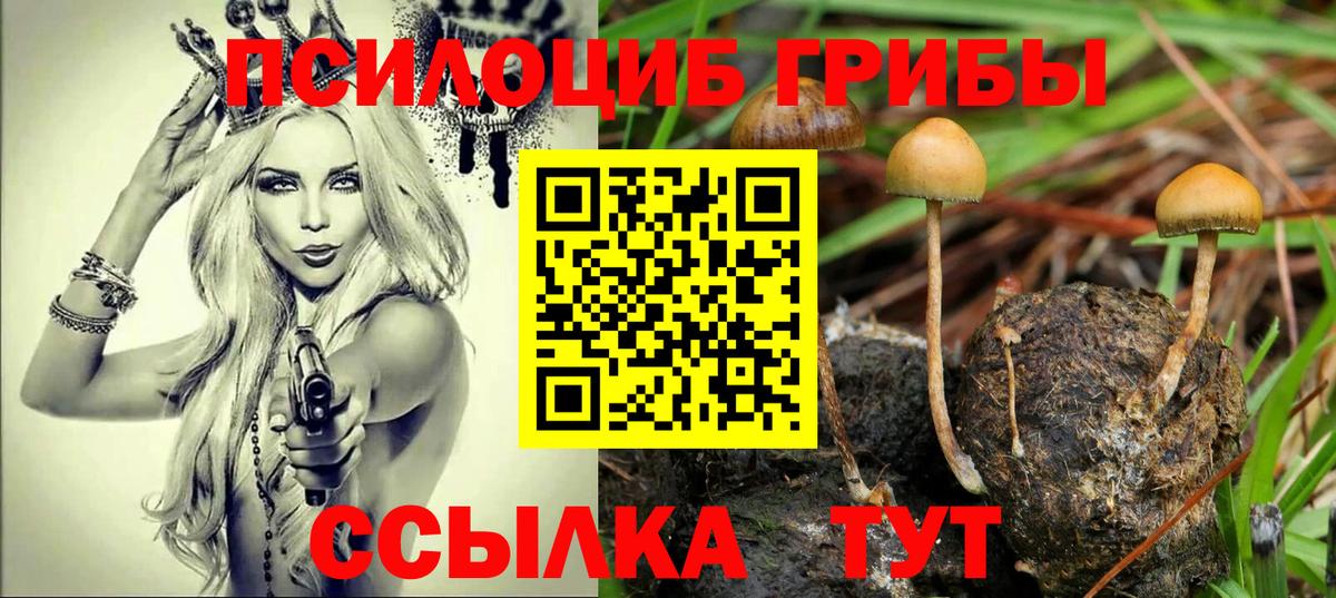 Галлюциногенные грибы ЛСД  Вход с VPN  Губаха  Псилоцибиновые грибы Psilocybe 