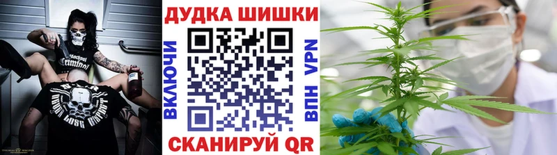 Конопля сатива  как найти наркотики  Губаха 